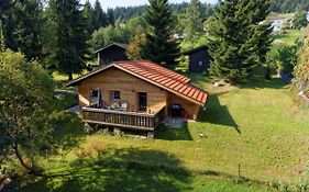 Ferienhaus Mitterdorf